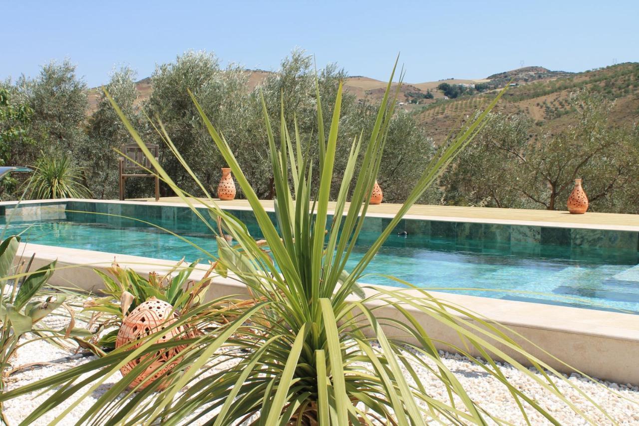 Finca Altozano - Private Pool - Unique Client Valle de Abdalagis Экстерьер фото