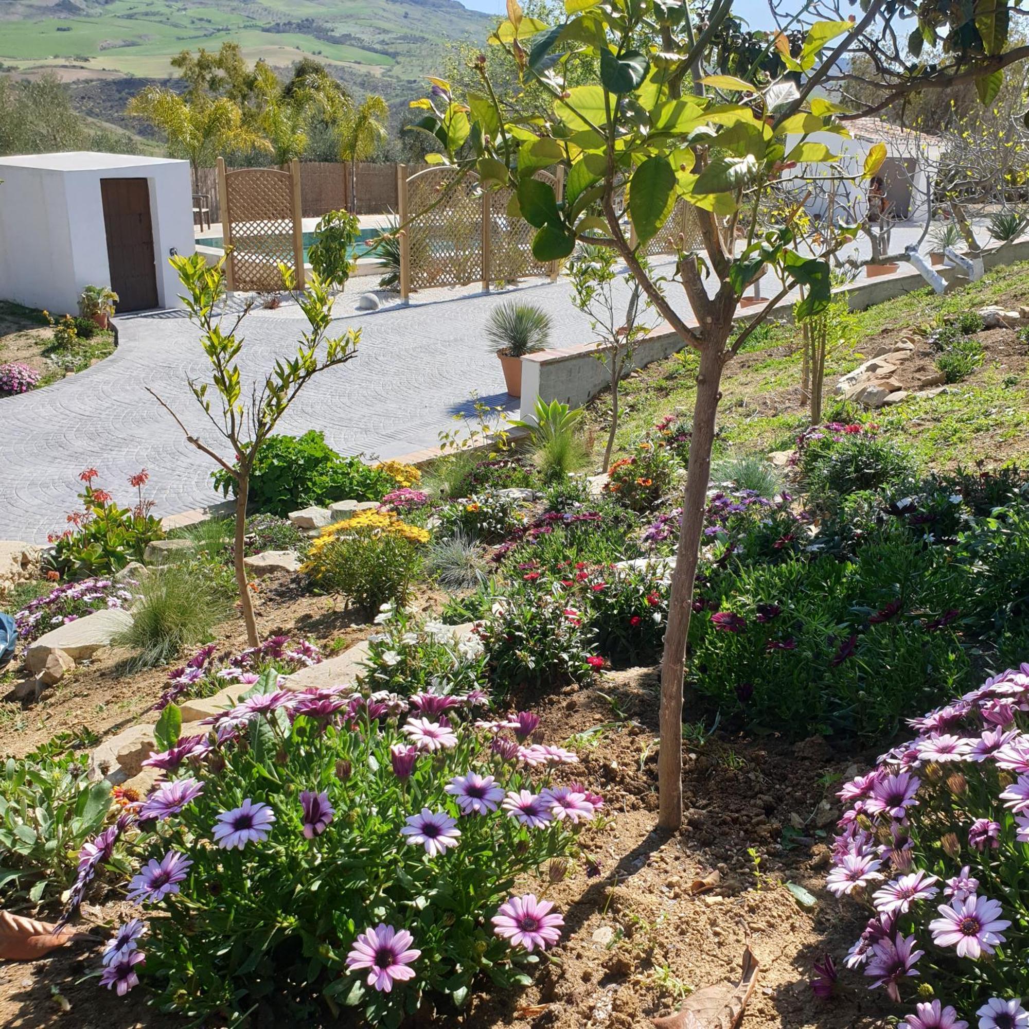 Finca Altozano - Private Pool - Unique Client Valle de Abdalagis Экстерьер фото